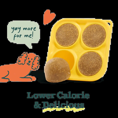 WOOF Pupsicle Treat Starter Kit: Interactive Toy, Treat Mix, Mold Tray, and Shaker Bottle - Durable and Pet-Safe