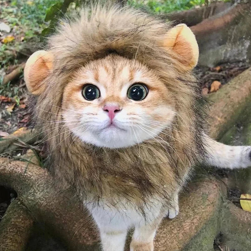 Lion Mane Wig Hat for Pets - Cat and Dog Costume Accessory for New Year Party and Cosplay Photoshoot