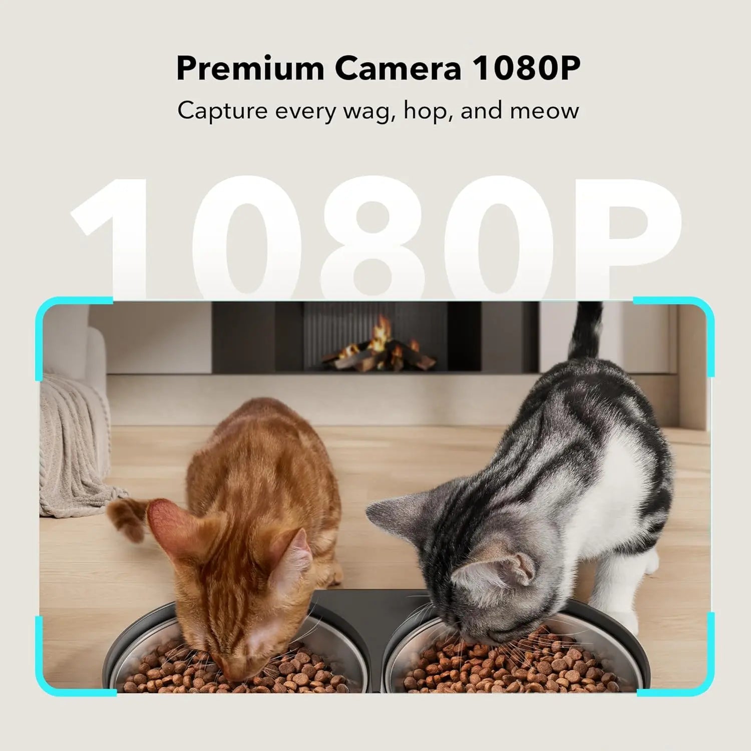 Automatic Cat Feeder with Camera for Two Cats, 1080P HD Video with Night Vision, 5G Wifi Pet Feeder with 2-Way Audio for Cat & Dog, Low Food & Motion & Sound Alerts, Dual Tray, Black 5L PETLIBRO