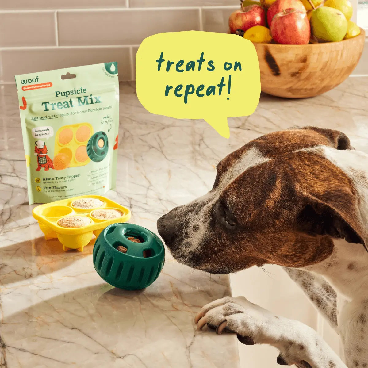 WOOF Pupsicle Treat Starter Kit: Interactive Toy, Treat Mix, Mold Tray, and Shaker Bottle - Durable and Pet-Safe