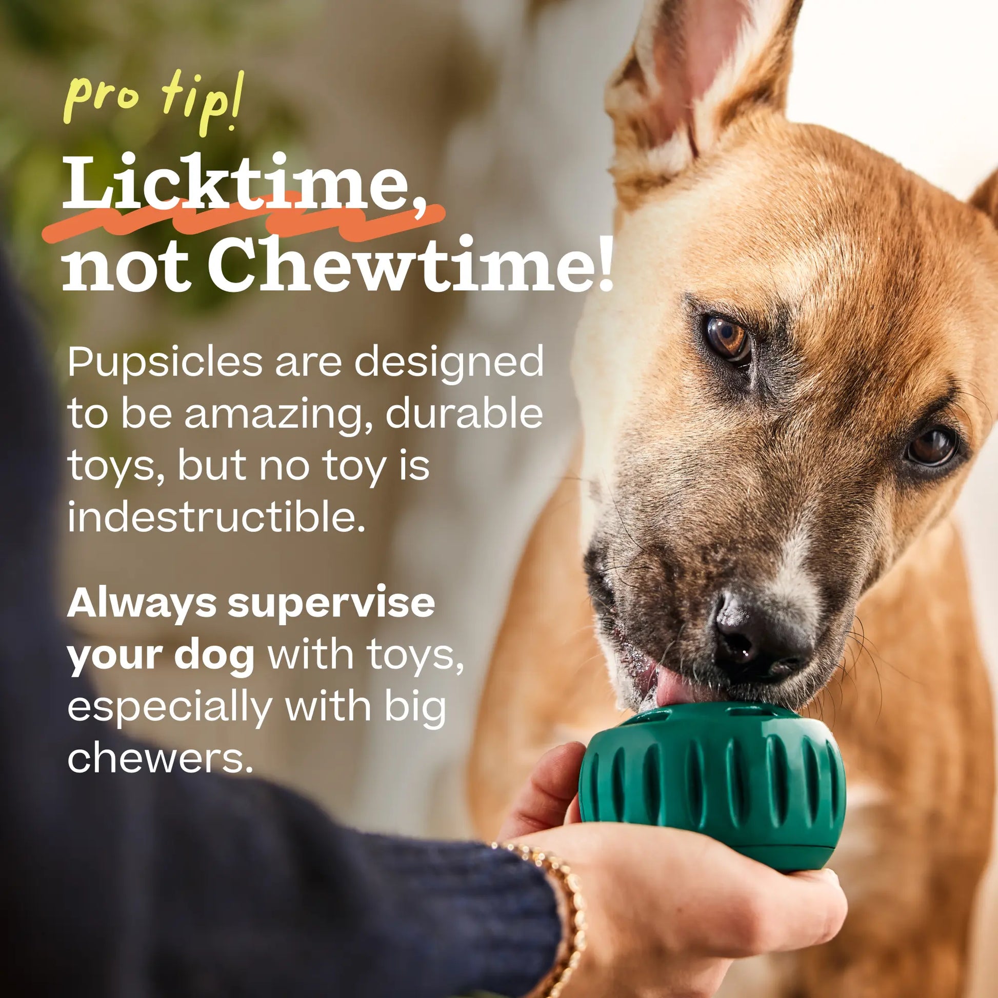 WOOF Pupsicle Treat Starter Kit: Interactive Toy, Treat Mix, Mold Tray, and Shaker Bottle - Durable and Pet-Safe