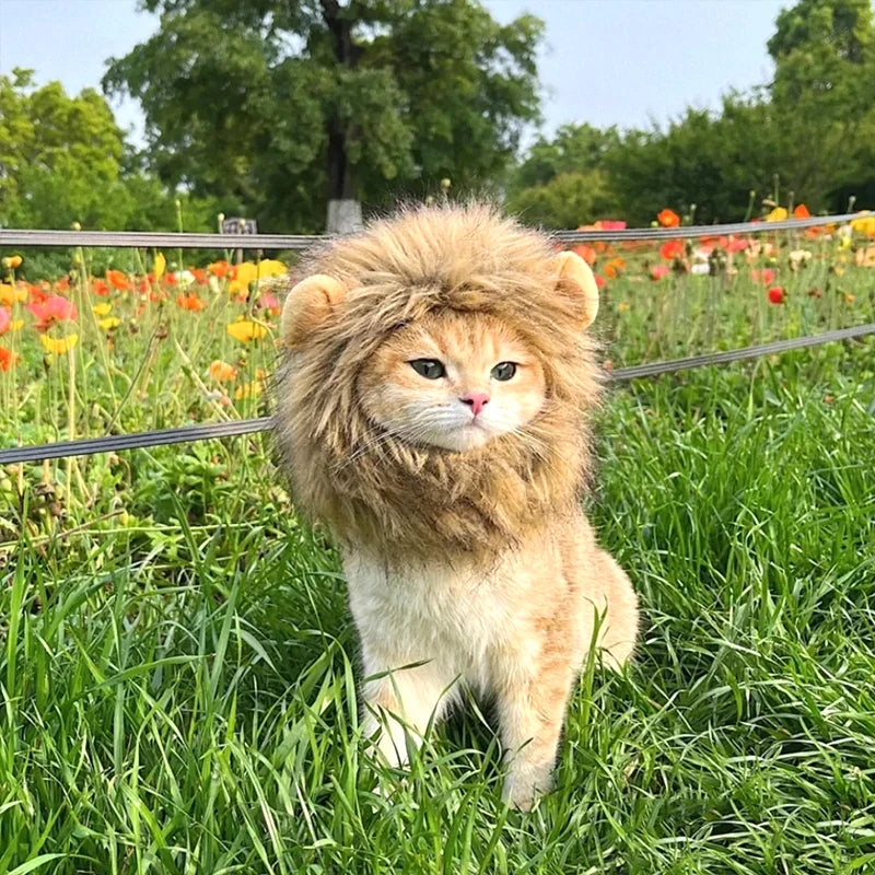 Lion Mane Wig Hat for Pets - Cat and Dog Costume Accessory for New Year Party and Cosplay Photoshoot