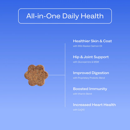 Dog Is Human Daily Multivitamin for Dogs (Beef Flavor) Vet-Formulated, Made in Vermont